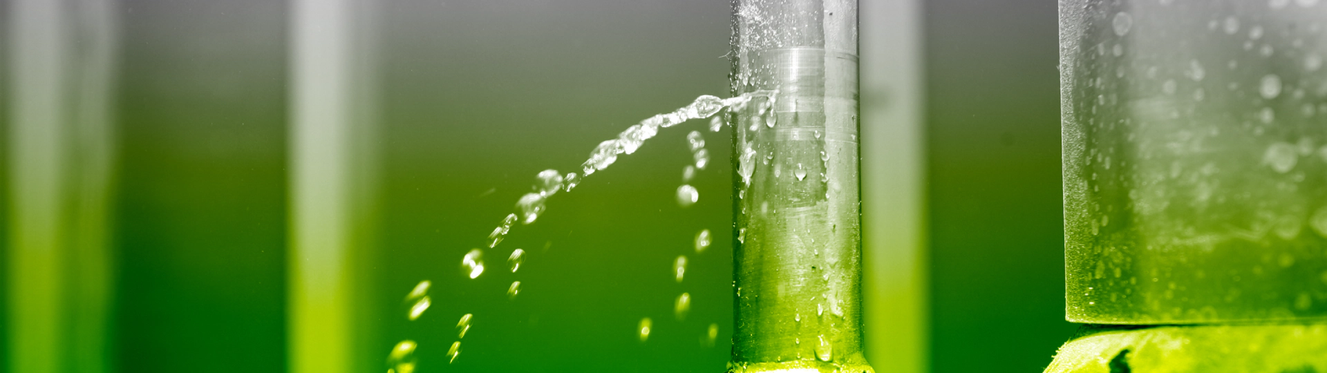 Leak Detection breadcrumb